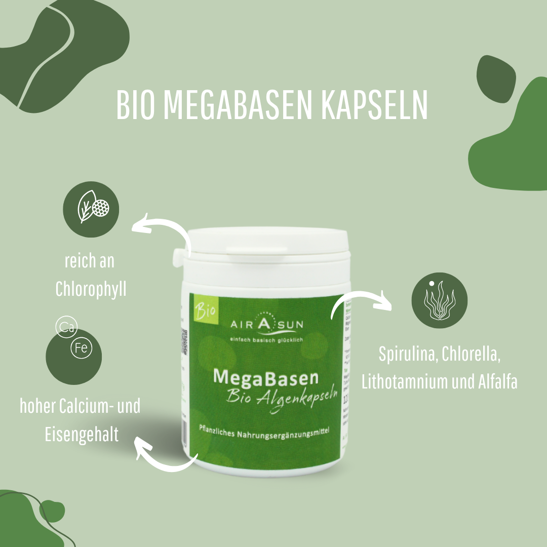 Bio Algenpulver MegaBasen - 120 Kapseln